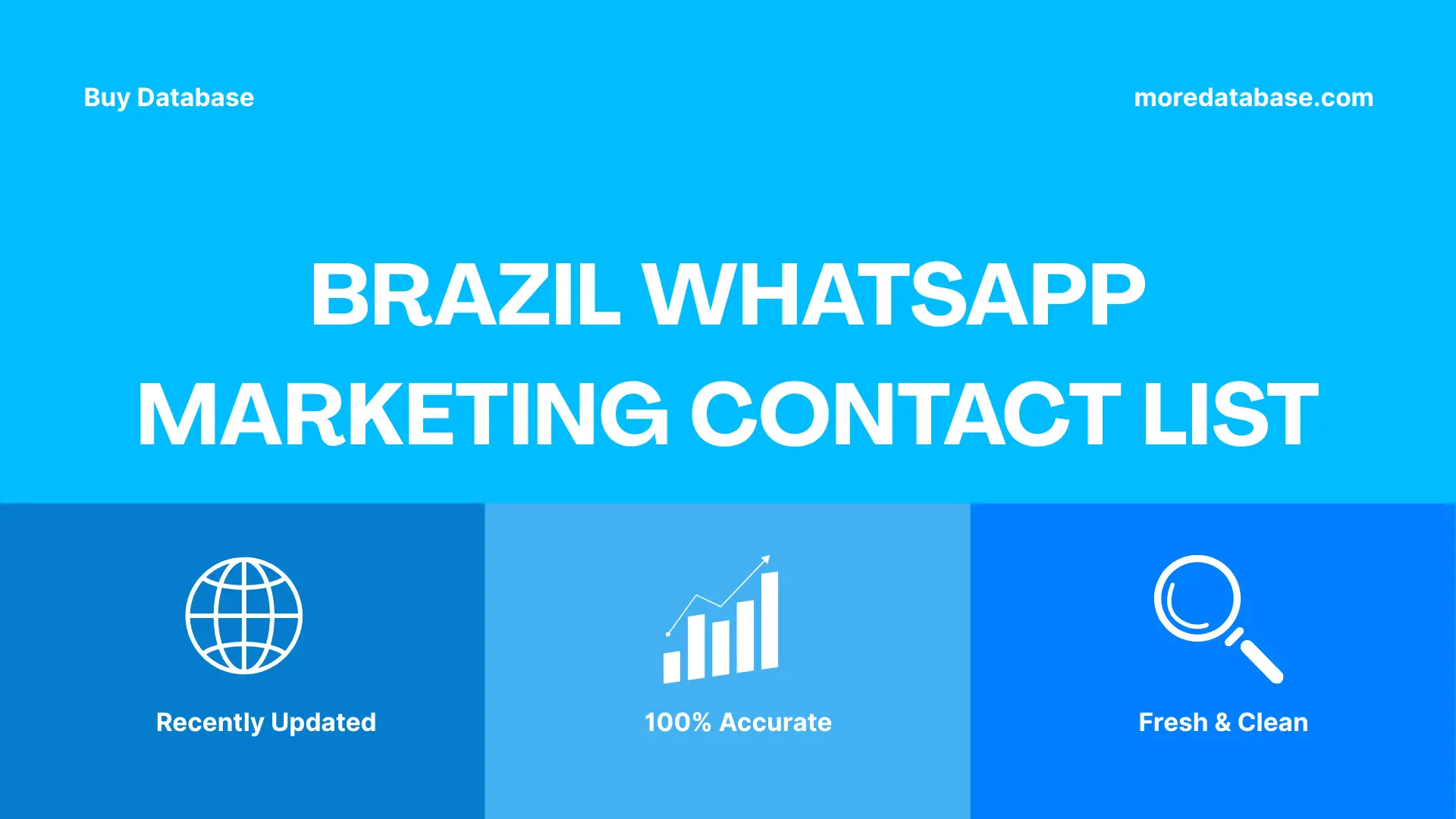 Brazil WhatsApp Marketing Contact List